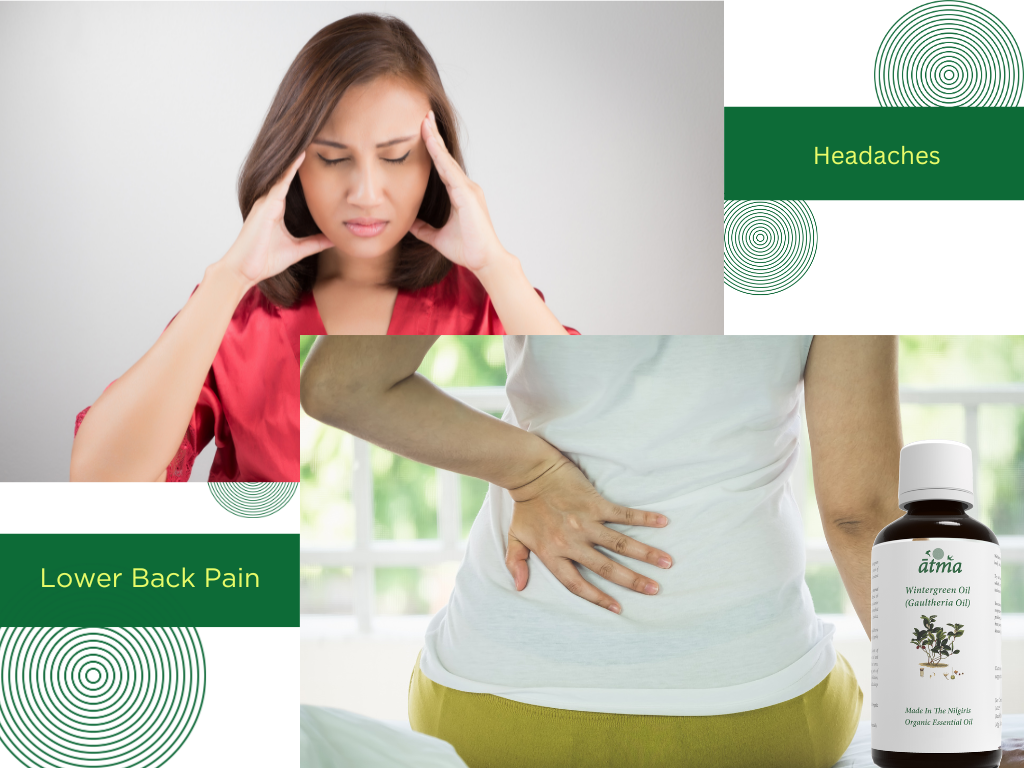 Wintergreen Oil/Gaultheria Oil